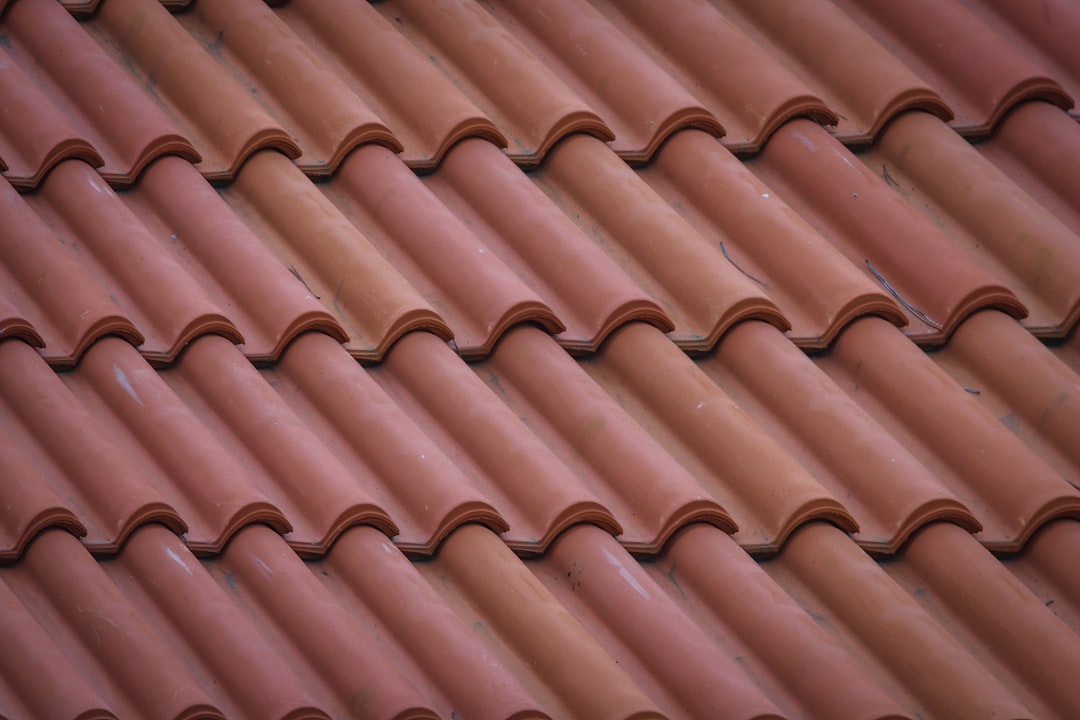 brown-roof-tiles-in-close-up-photography-oppoyfhg11q
